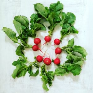 Radishes for EatRightPA blog